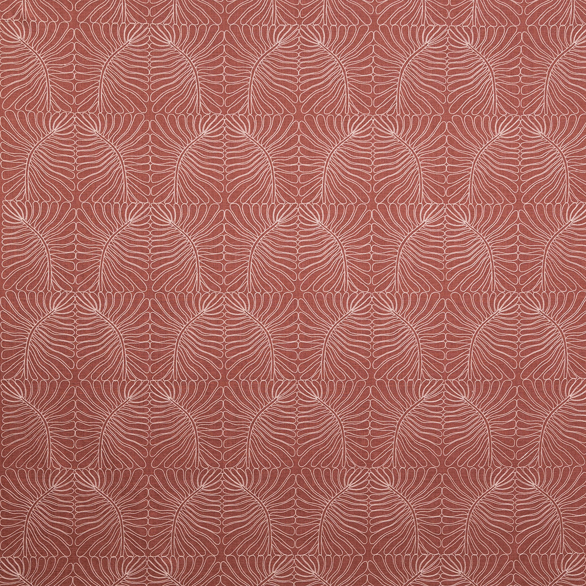 8486-belinda-coral-pindler