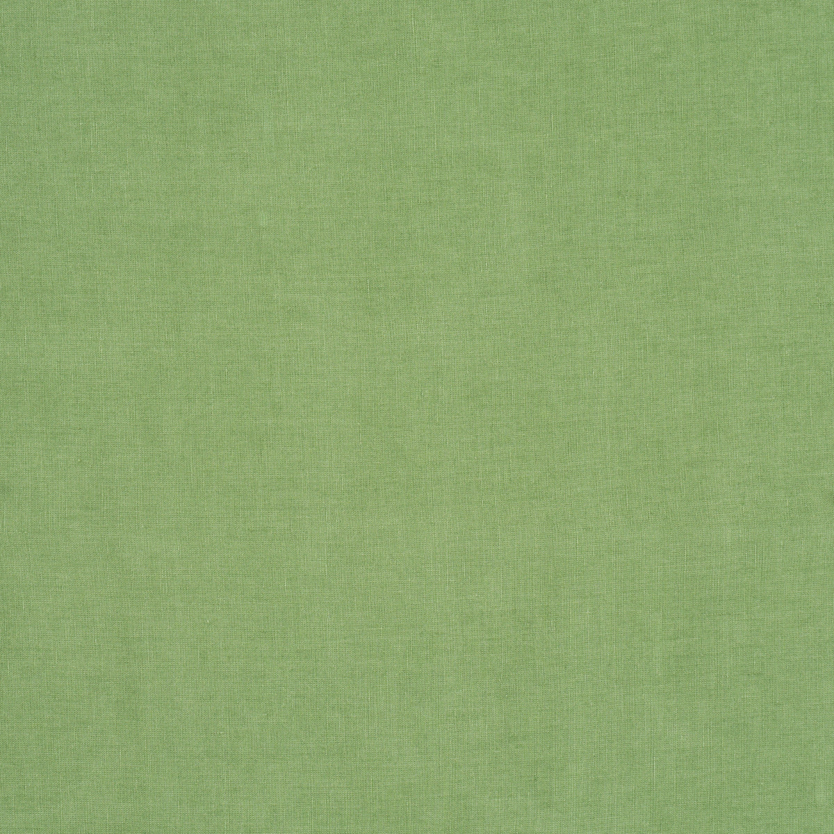 Leslie Stonewashed Sheer - Leaf - Schumacher 84936 Fabric - Schumacher Fabric