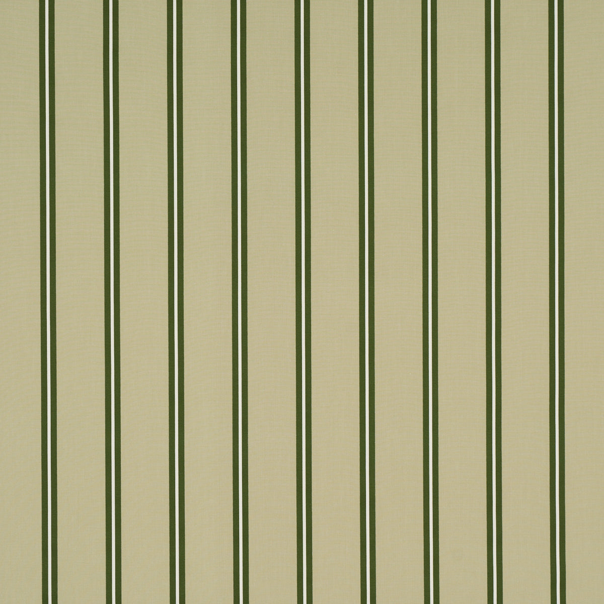 BRIONY-STRIPE-LEAF-SCHUMACHER-85622 - Schumacher Fabric