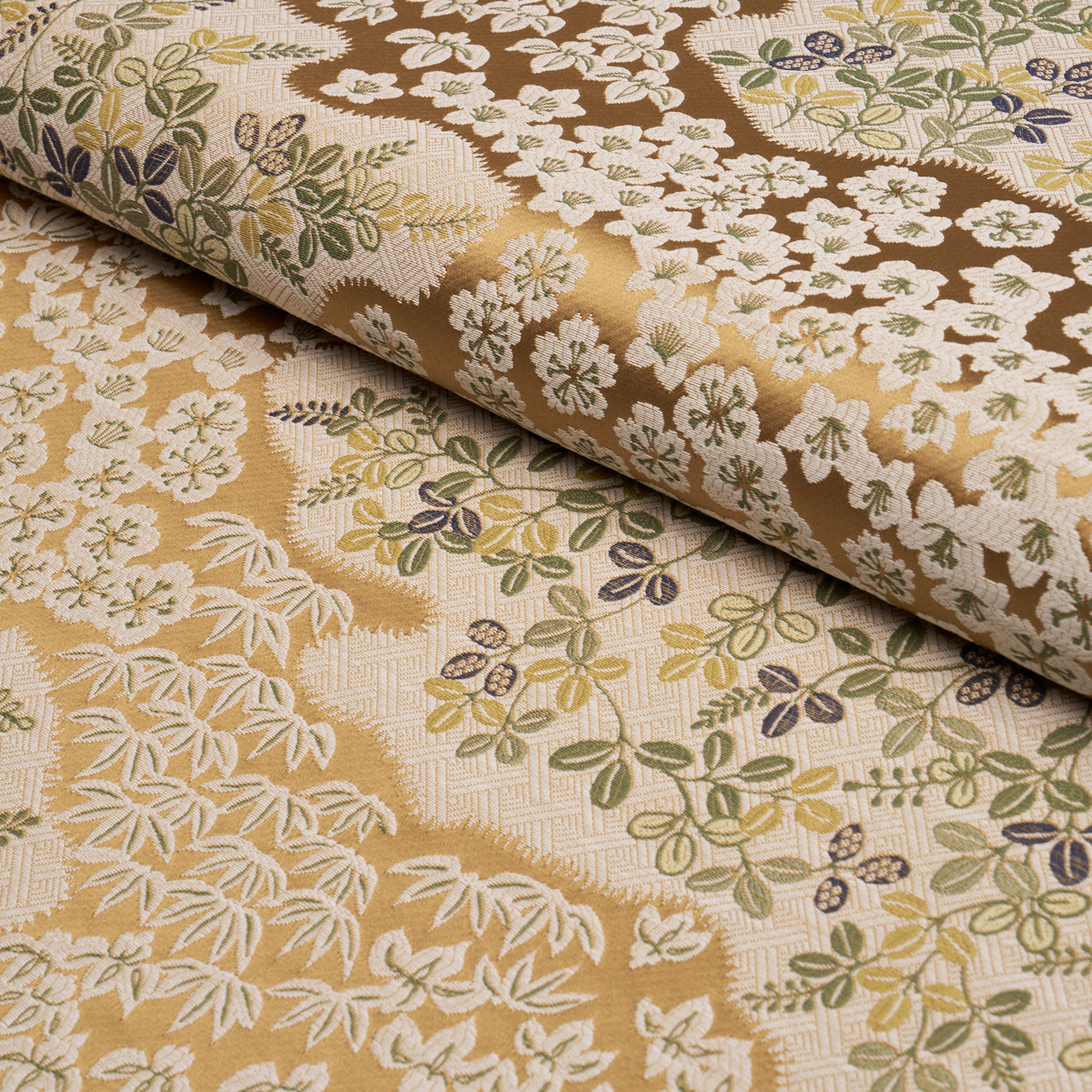 LORENE-OCHRE-SCHUMACHER-85641