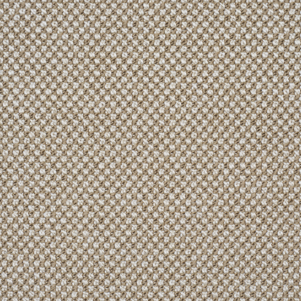 RAYE-PERFORMANCE-SAND-SCHUMACHER-86262 - Schumacher Fabric