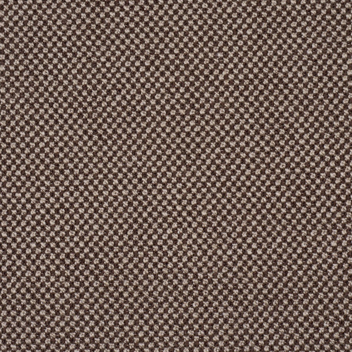 RAYE-PERFORMANCE-BROWN-SCHUMACHER-86264 - Schumacher Fabric