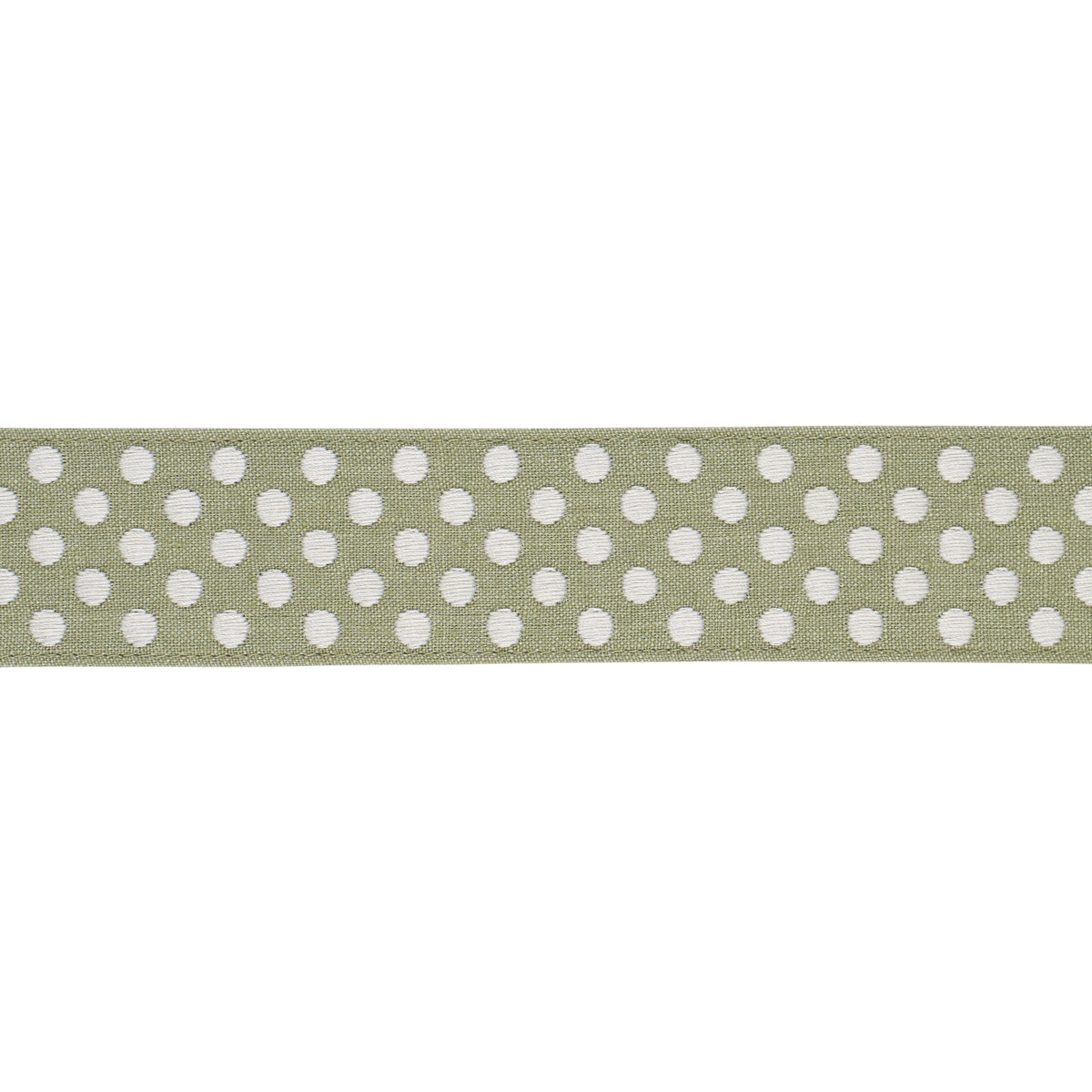 Dotted Embroidered Tape - Sage - Schumacher 86293 Trim - Schumacher Trim