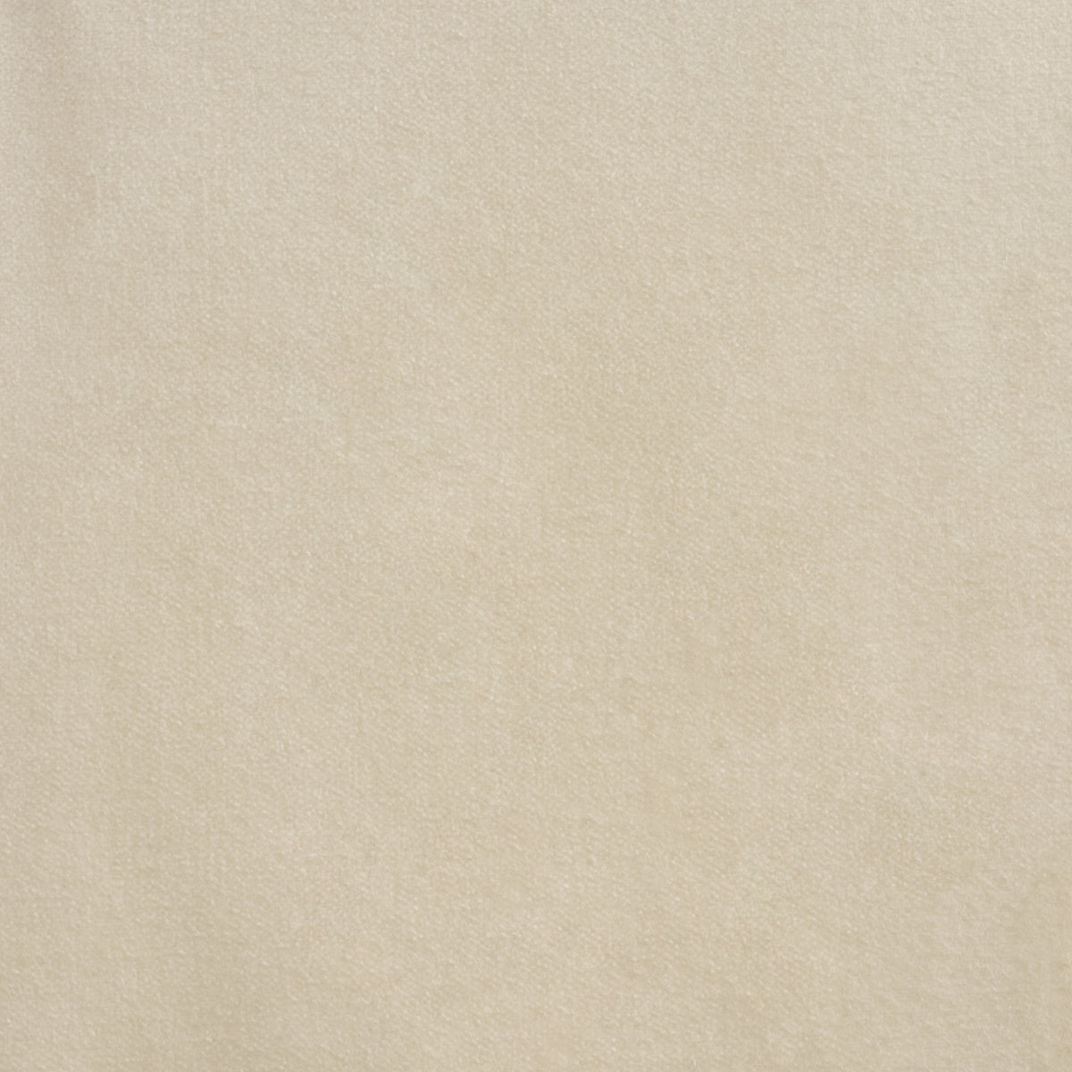 ROCKY-PERFORMANCE-VELVET-PEARL-SCHUMACHER-86470 - Schumacher Fabric