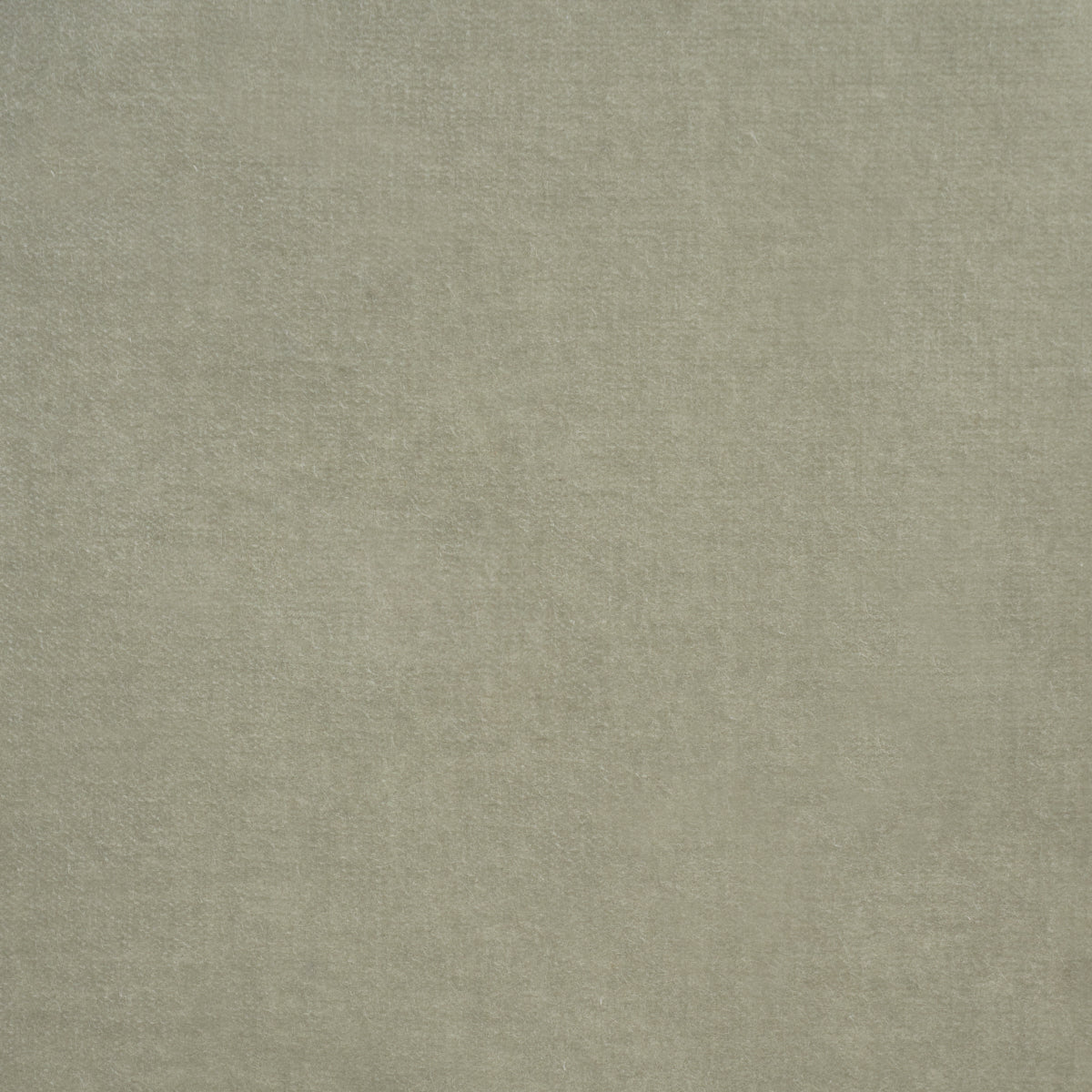 ROCKY-PERFORMANCE-VELVET-FERN-SCHUMACHER-86471 - Schumacher Fabric
