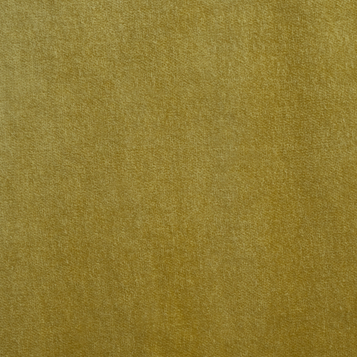 ROCKY-PERFORMANCE-VELVET-CELERY-SCHUMACHER-86472 - Schumacher Fabric