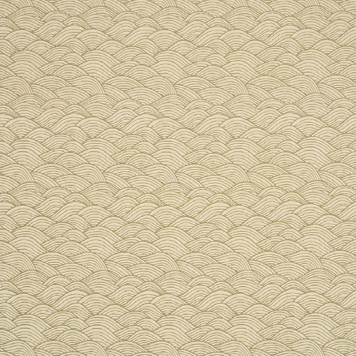 Symphony Scallop - Olive - Schumacher 86541 Fabric - Schumacher Fabric