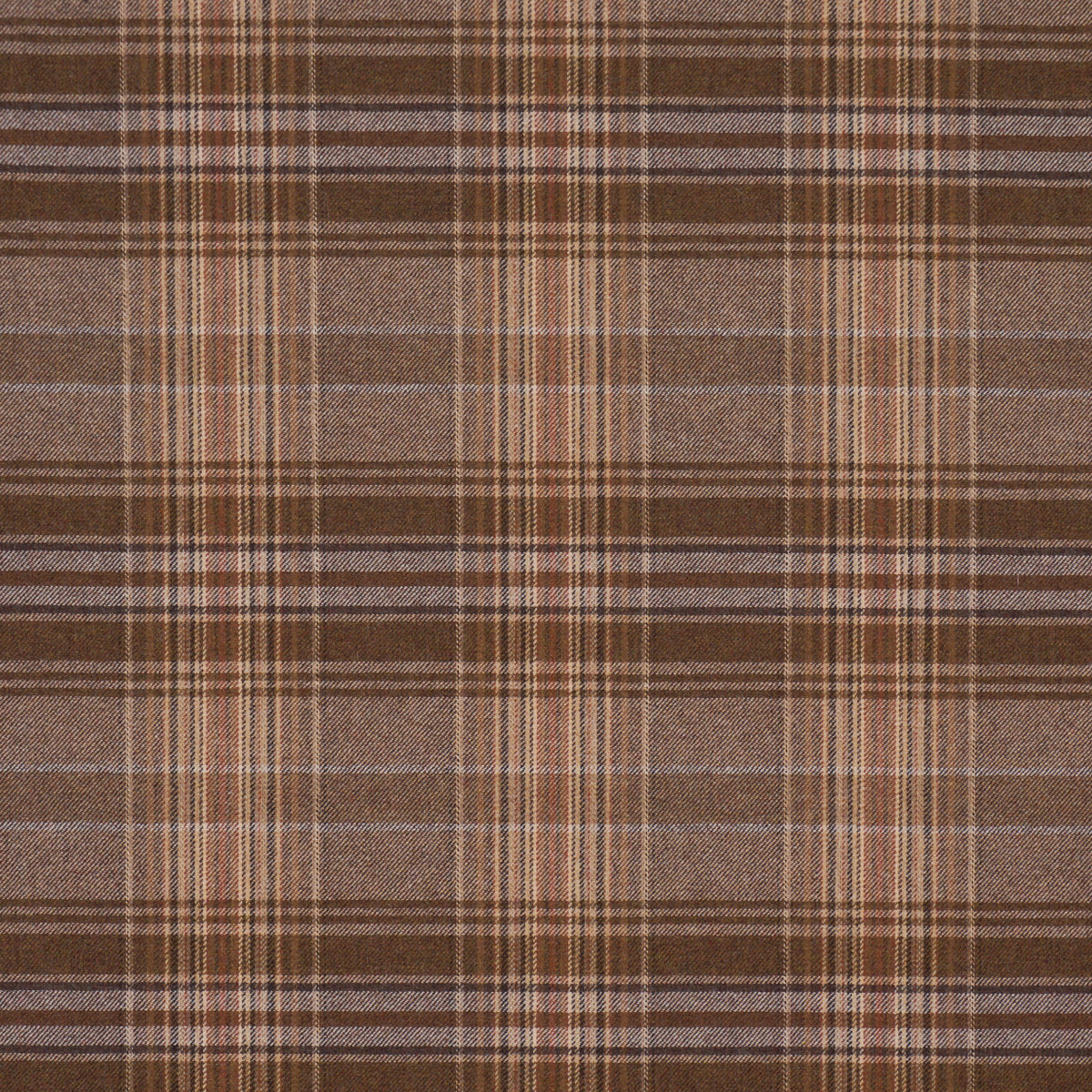 CAMPBELL-PLAID-TERRA-SCHUMACHER-86580
