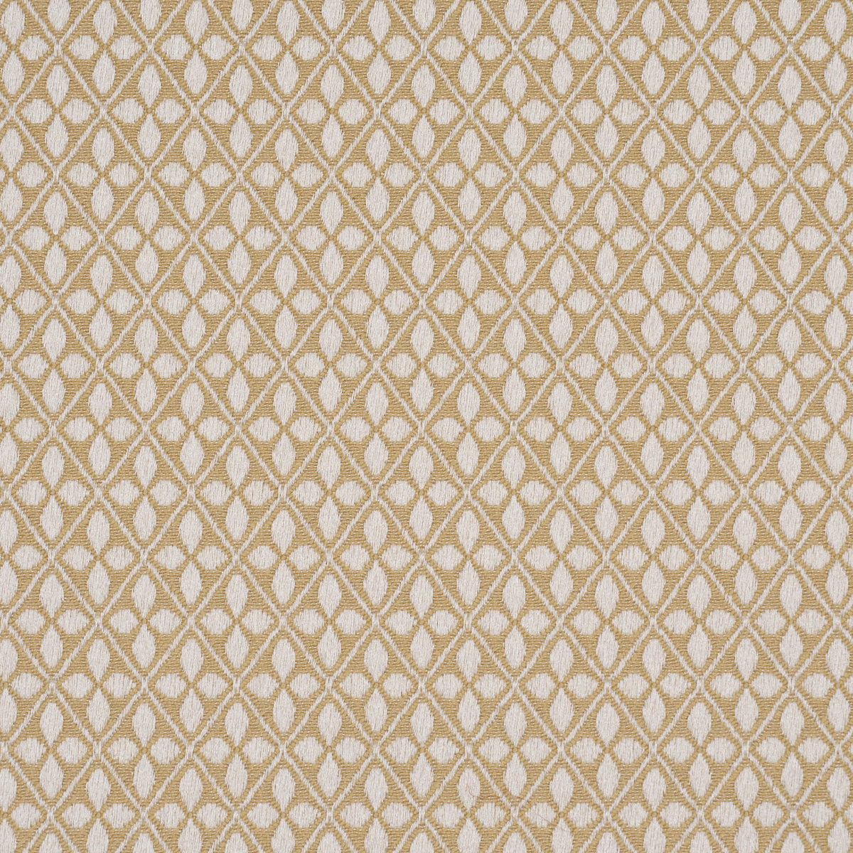 Adams Damask - Neutral - Schumacher 87081 Fabric - Schumacher Fabric