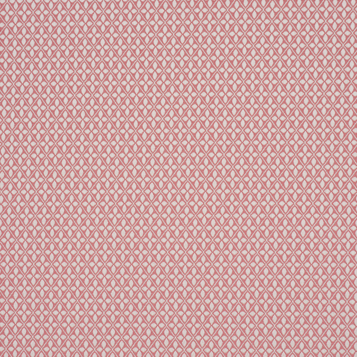 Adams Damask - Pink - Schumacher 87085 Fabric