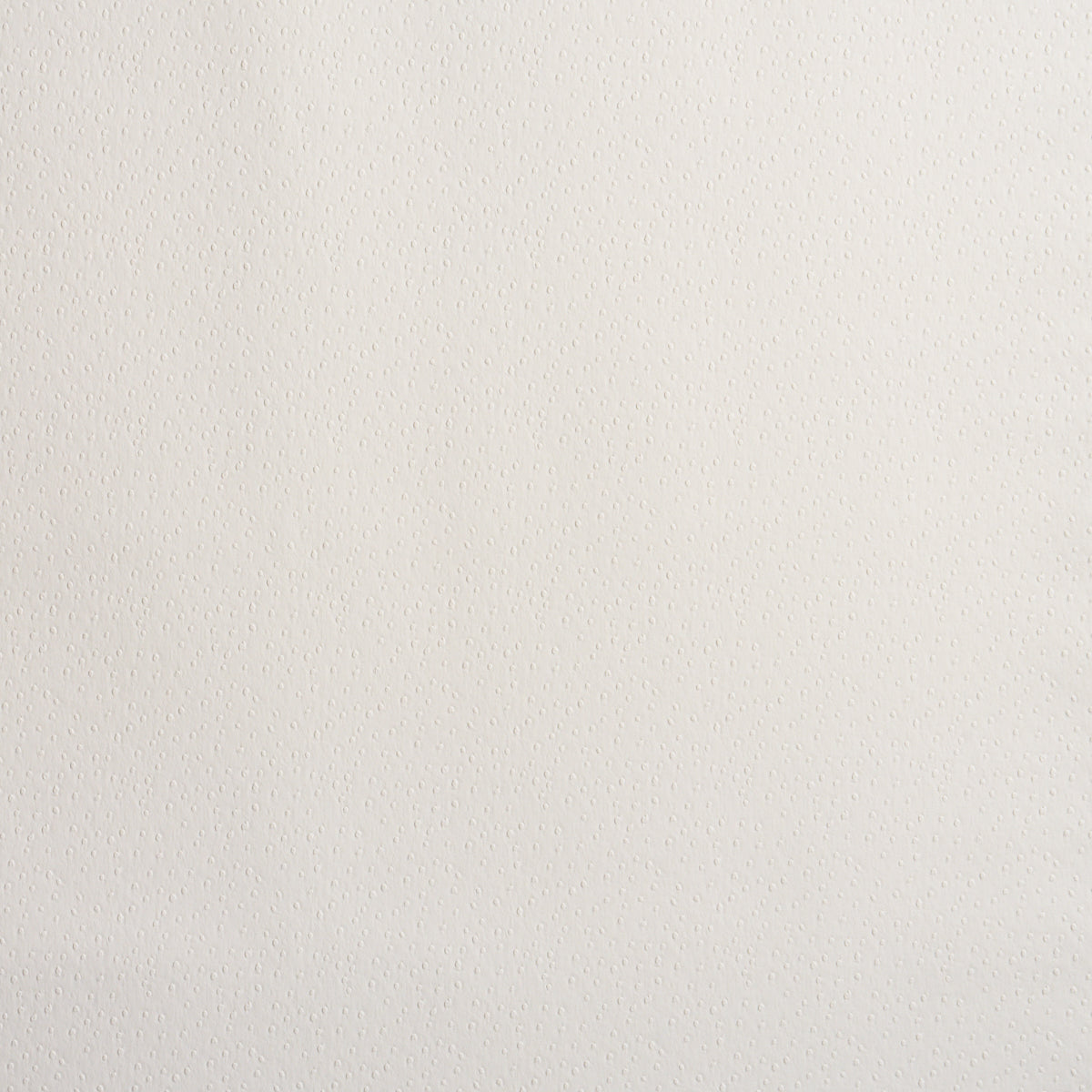 OSTRICH-VEGAN-LEATHER-IVORY-SCHUMACHER-87280