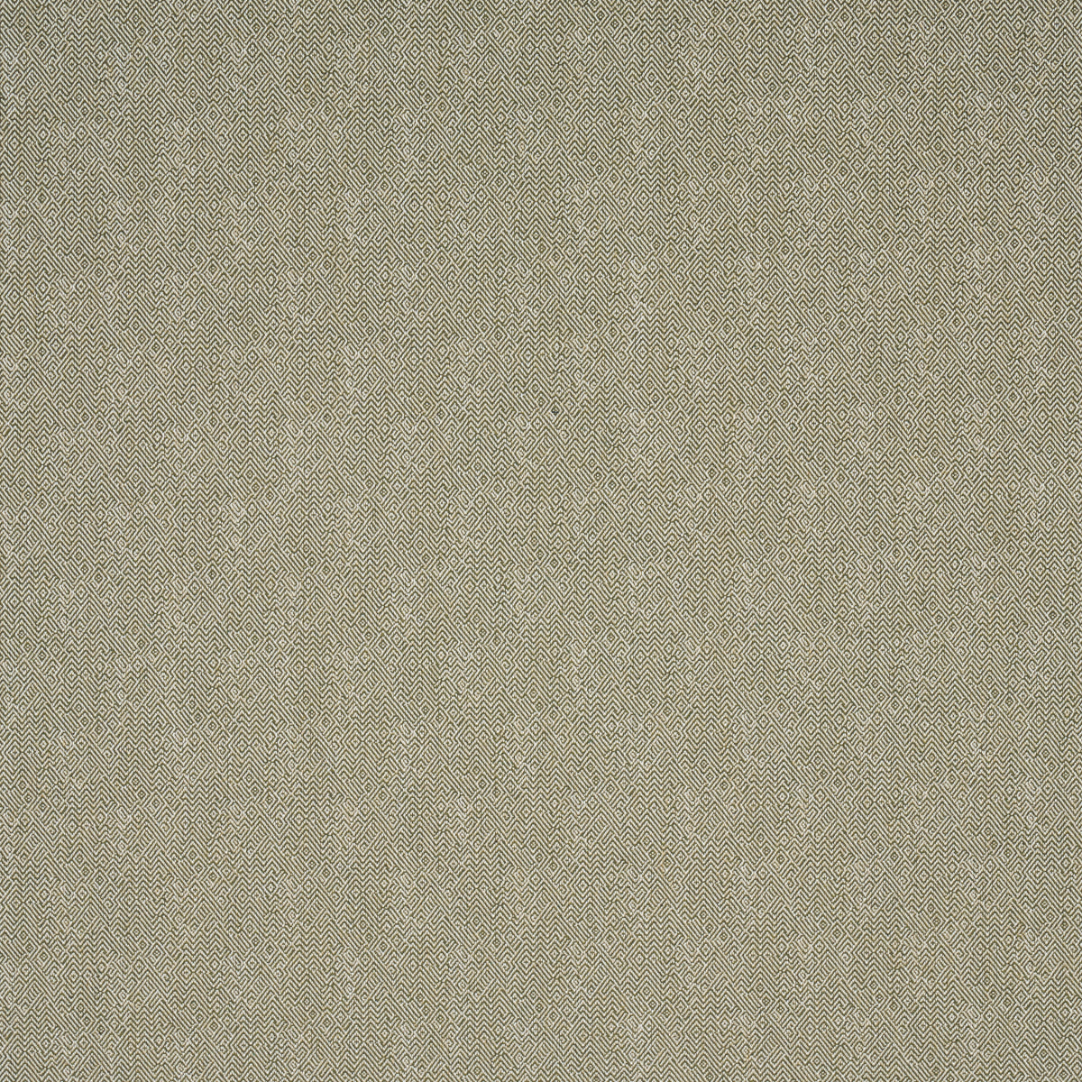 Leona Performance - Green - Schumacher 87631 Fabric - Schumacher Fabric