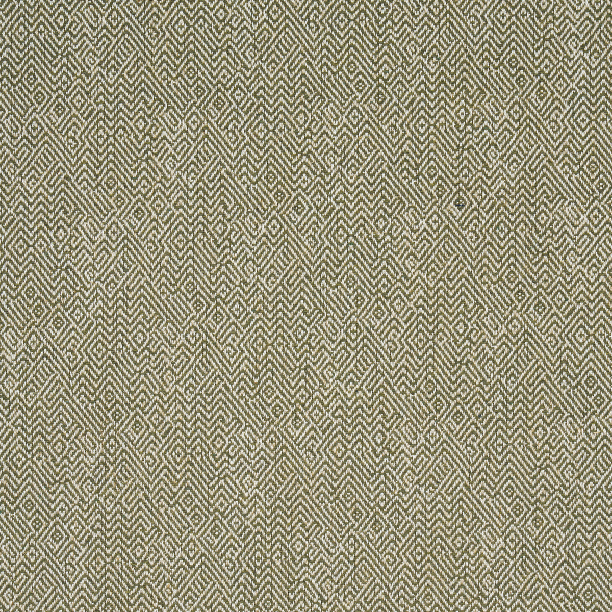 Leona Performance - Green - Schumacher 87631 Fabric - Schumacher Fabric