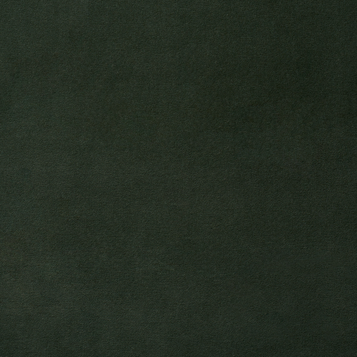 Rocky Performance Velvet - Hunter - Schumacher 87714 Fabric - Schumacher Fabric