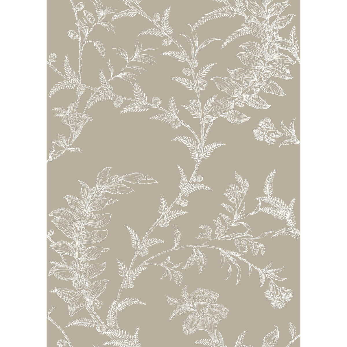 Ludlow - Taupe - COLE & SON Wallpaper