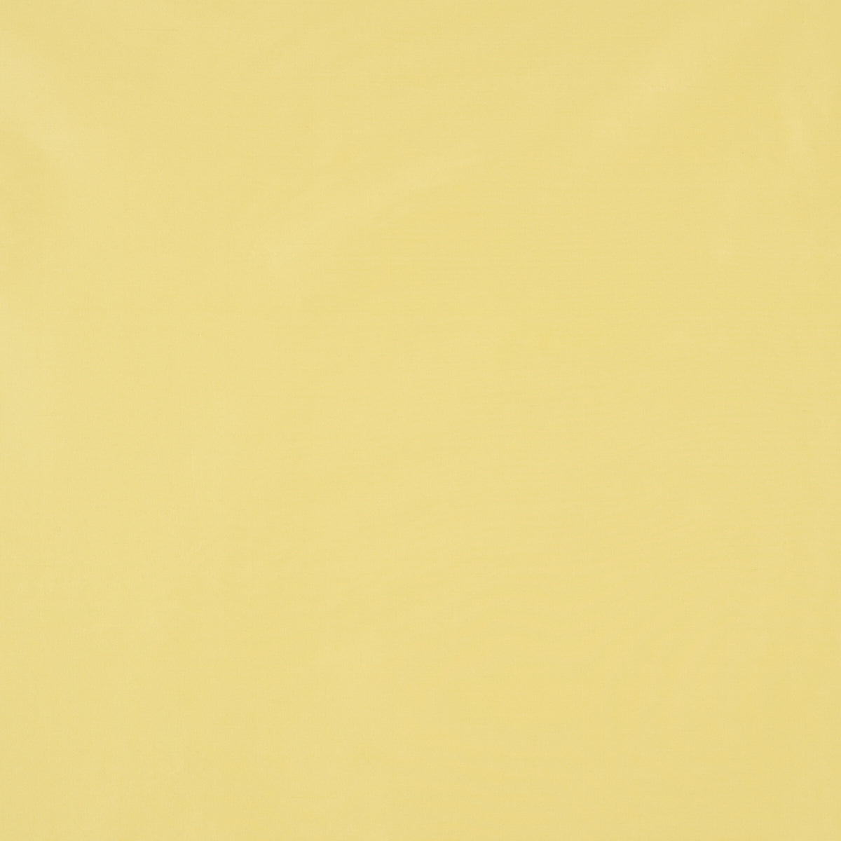 Sargent Silk Taffeta - Canary - Schumacher 88122 Fabric