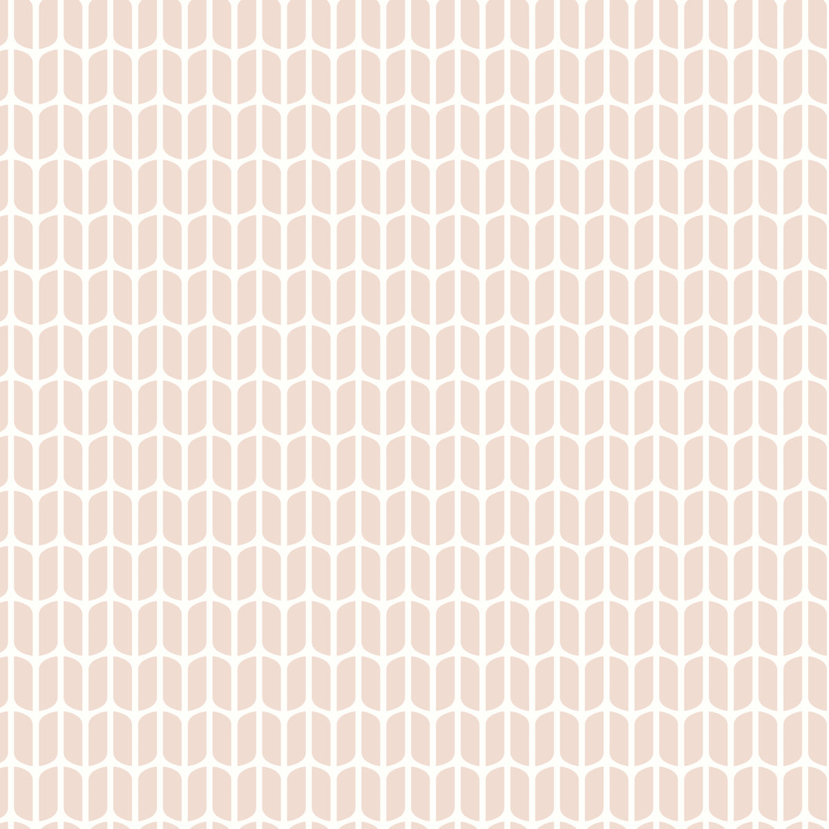 PETAL-PETAL-SCHUMACHER-8815