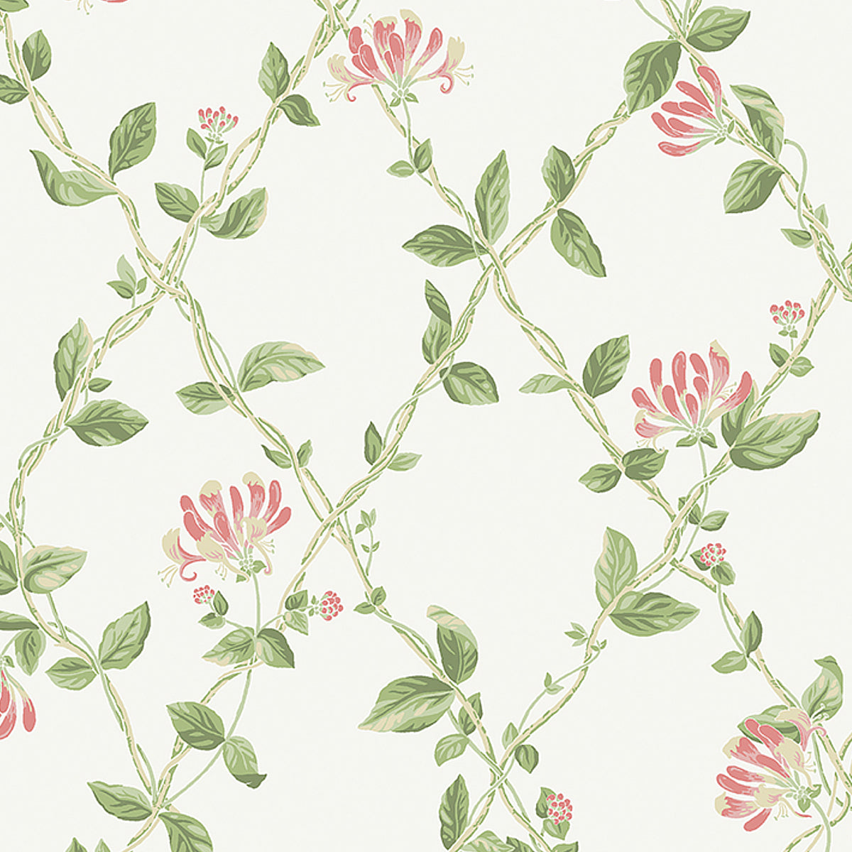 HONEYSUCKLE-IVORY-SCHUMACHER-8852