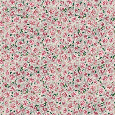 variegated-azalea-john-derian-fjd6000-01