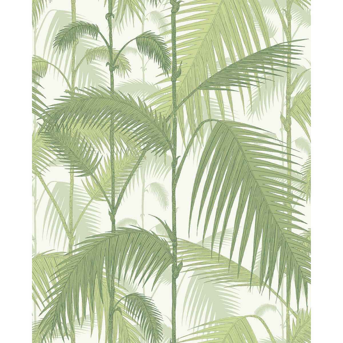 951001cs0 Palm Jungle Olive Gre White Cole Son Wallpaper