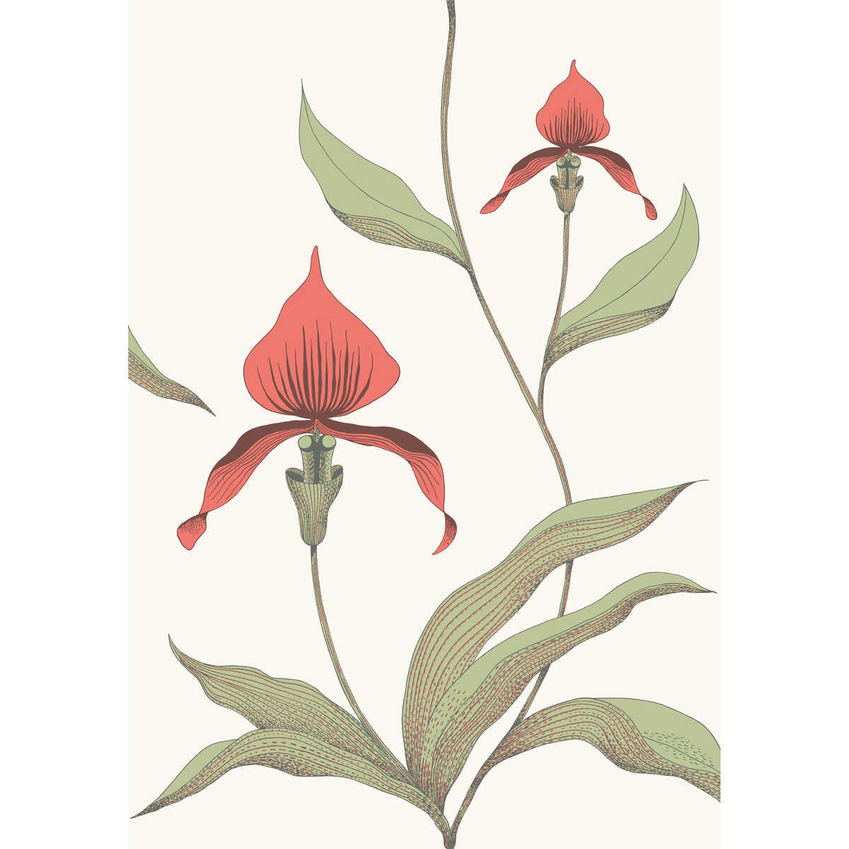 Orchid - Red/White - COLE & SON Wallpaper