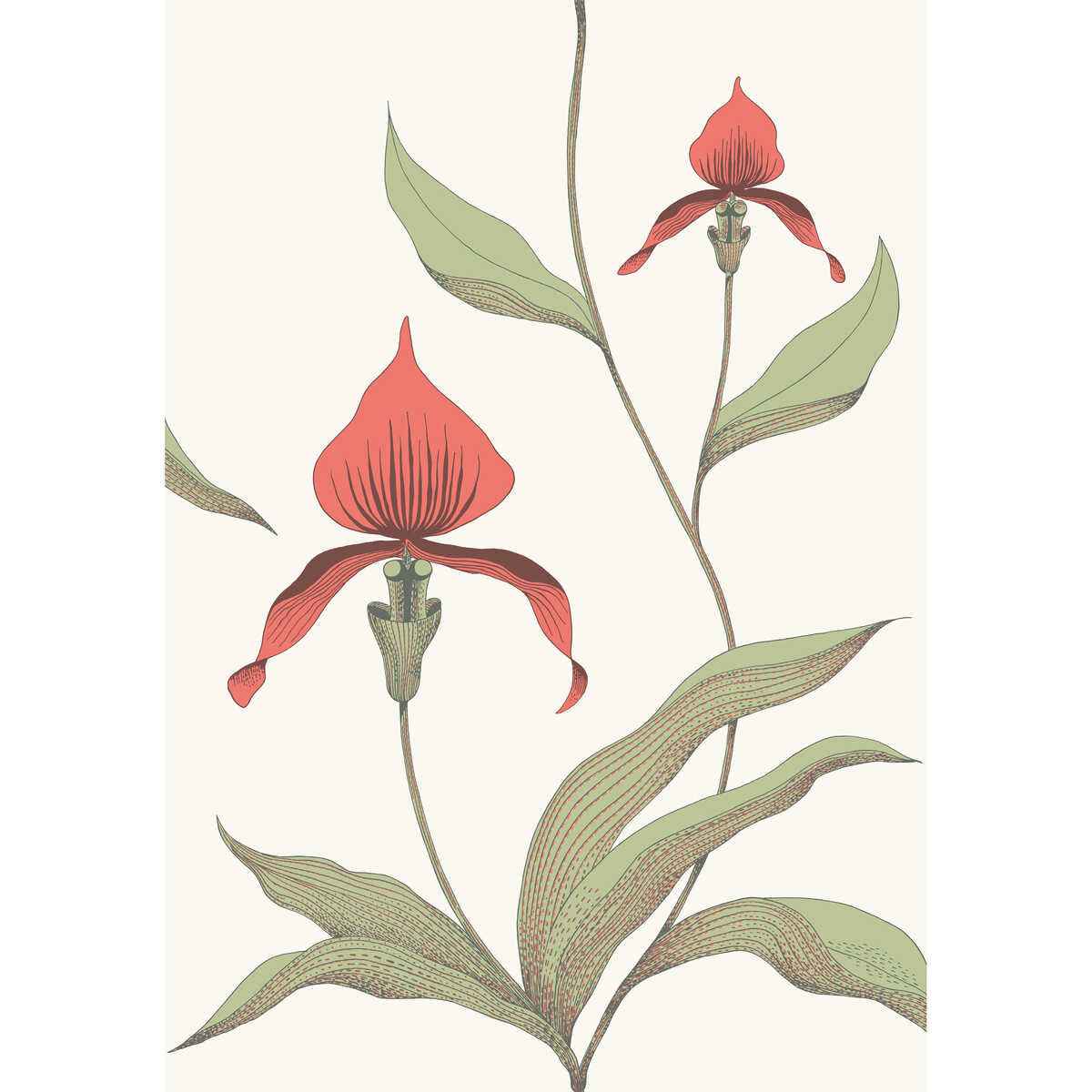 9510054cs0 Orchid Red White Cole Son Wallpaper - COLE & SON Wallpaper