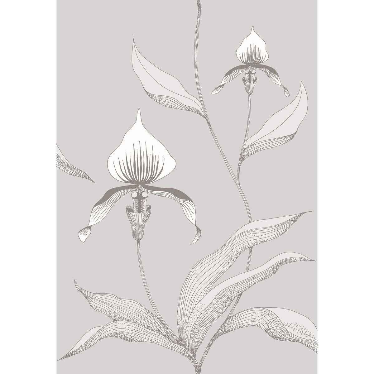 9510055cs0 Orchid Grey White Cole Son Wallpaper - COLE & SON Wallpaper