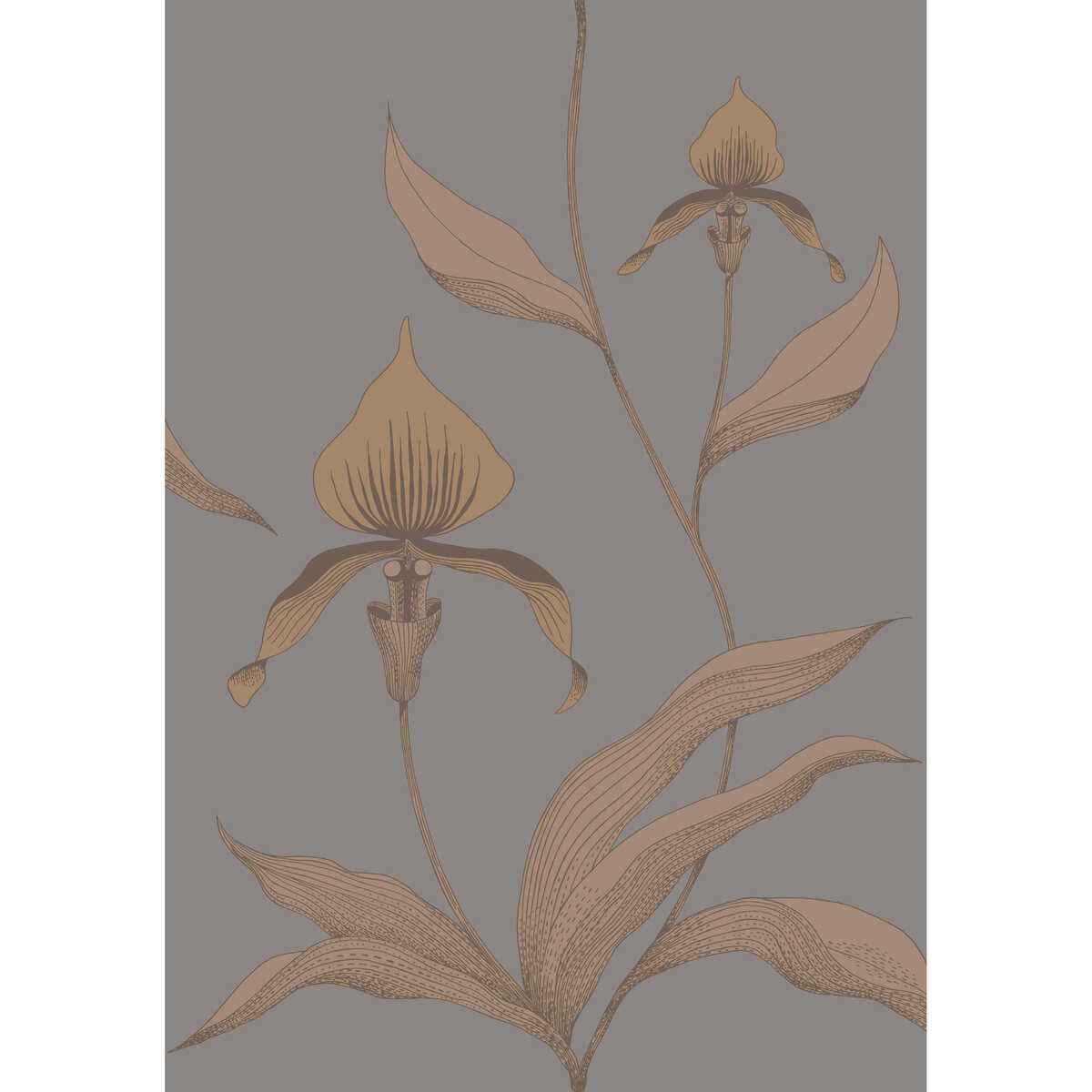 9510056cs0 Orchid Bronze Slate Cole Son Wallpaper