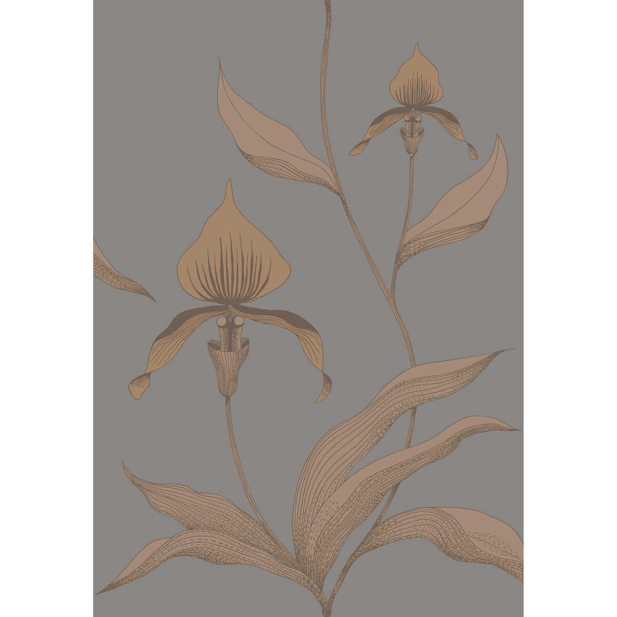 Orchid - Bronze/Slate - COLE & SON Wallpaper