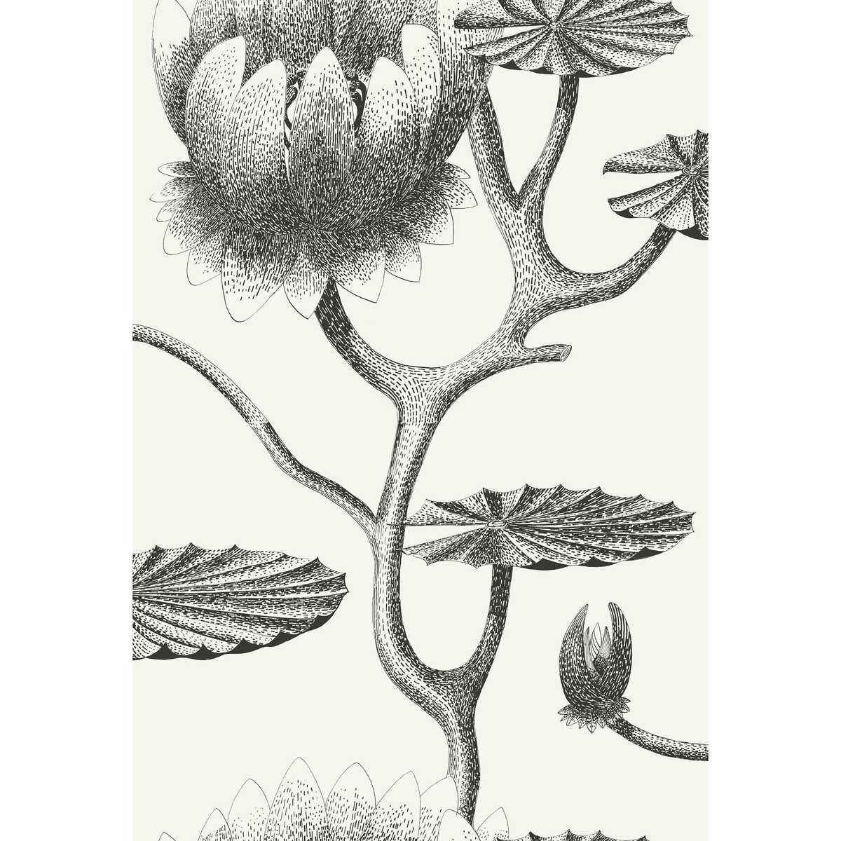 954020cs0 Lily Black White Cole Son Wallpaper