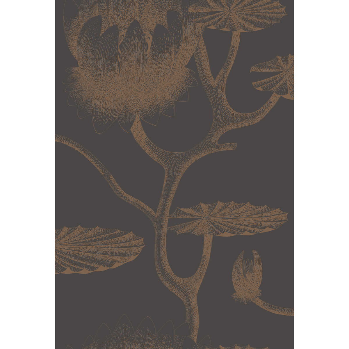 Lily - Black/Bronze - COLE & SON Wallpaper