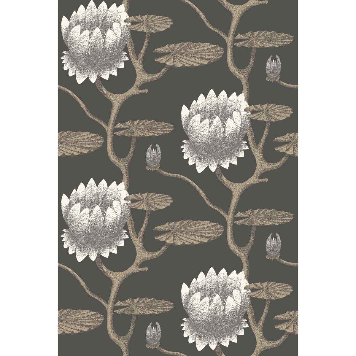 954026cs0 Summer Lily Blk Wht Gold Cole Son Wallpaper - COLE & SON Wallpaper