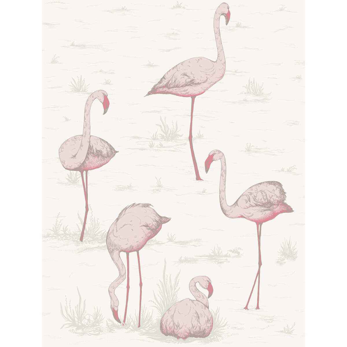 958045cs0 Flamingos Pink White Cole Son Wallpaper