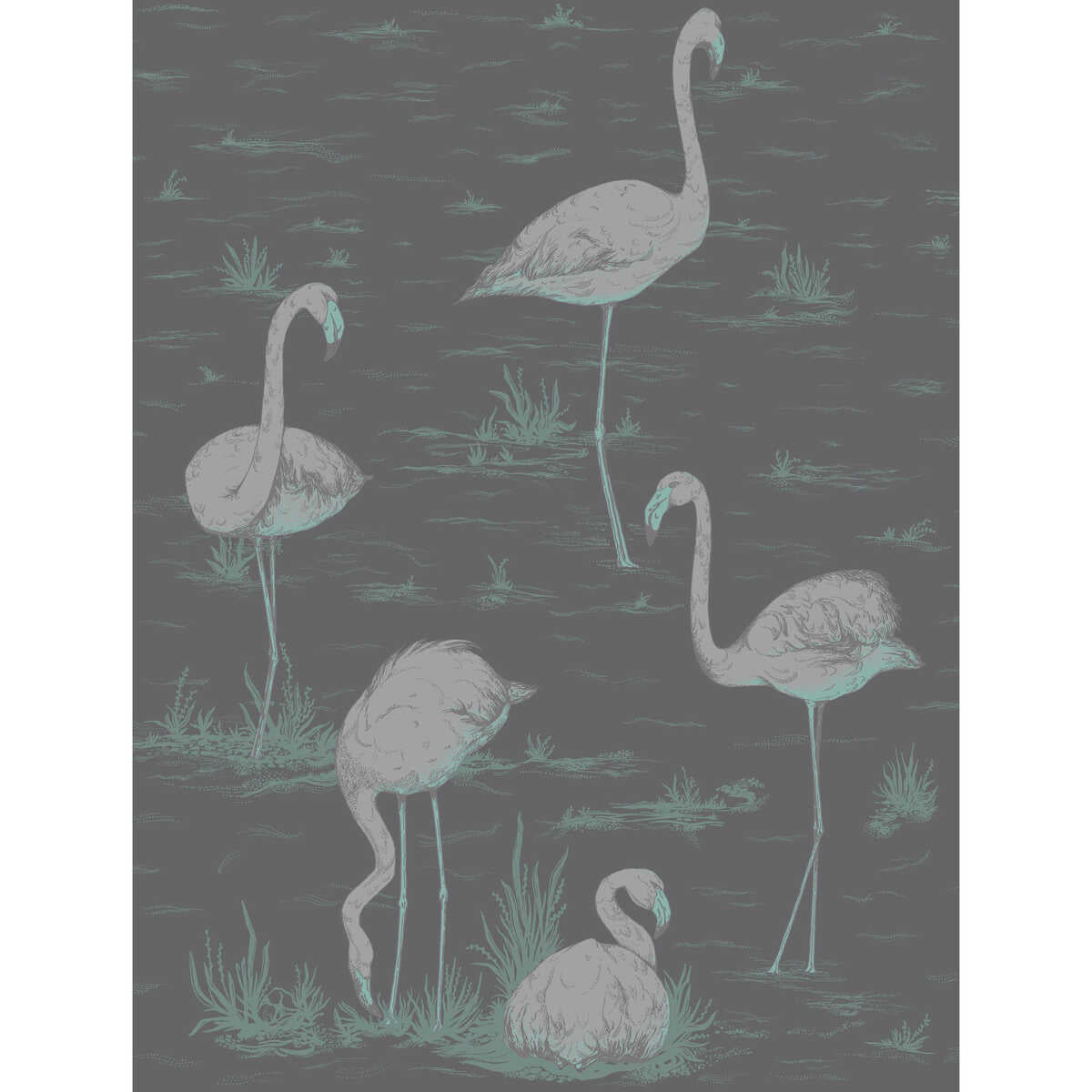 Flamingos - Teal/Slvr/Bk - COLE & SON Wallpaper