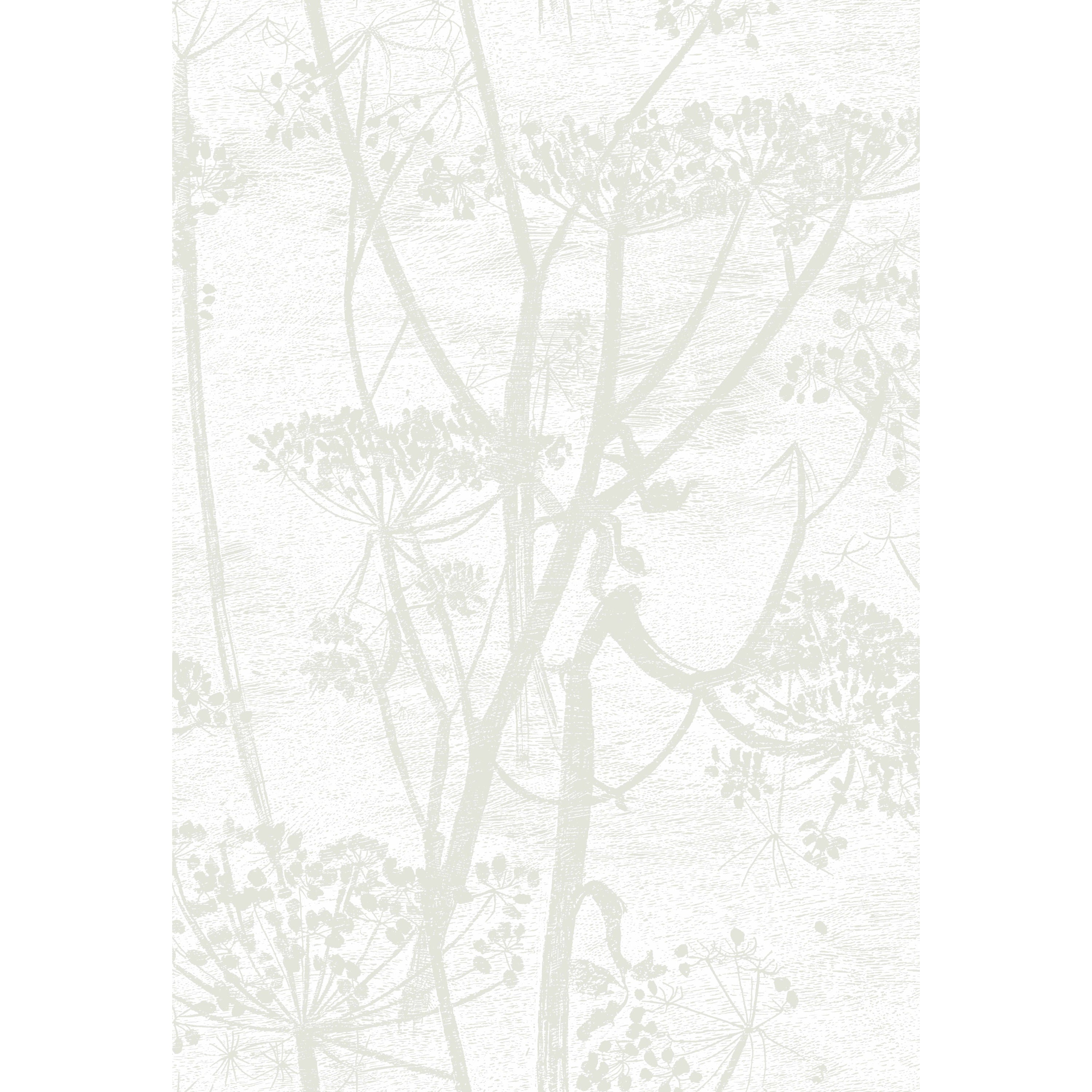 Cow Parsley - White - Cole & Son Wallpaper