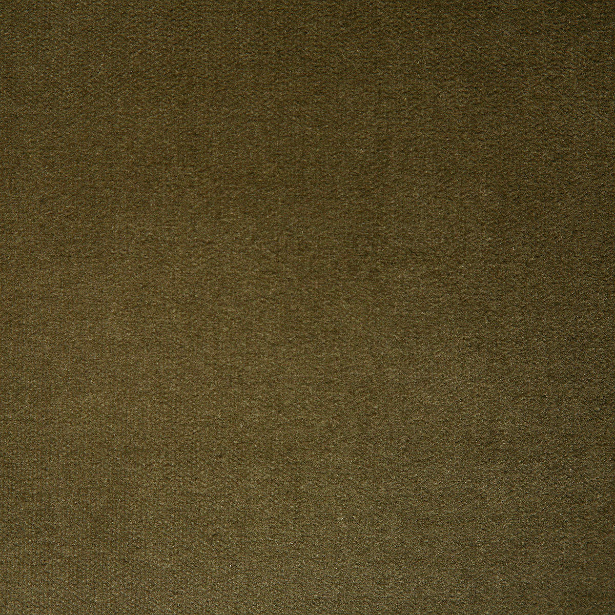 9672-legacy-brass-pindler - Pindler Fabric