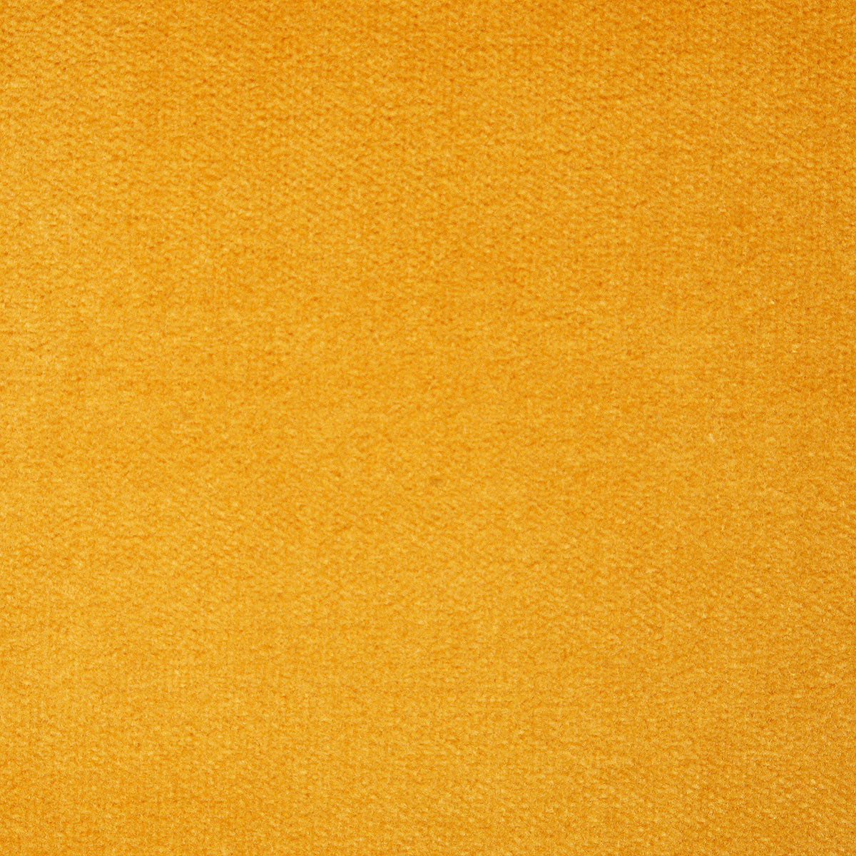9672-legacy-butternut-pindler - Pindler Fabric