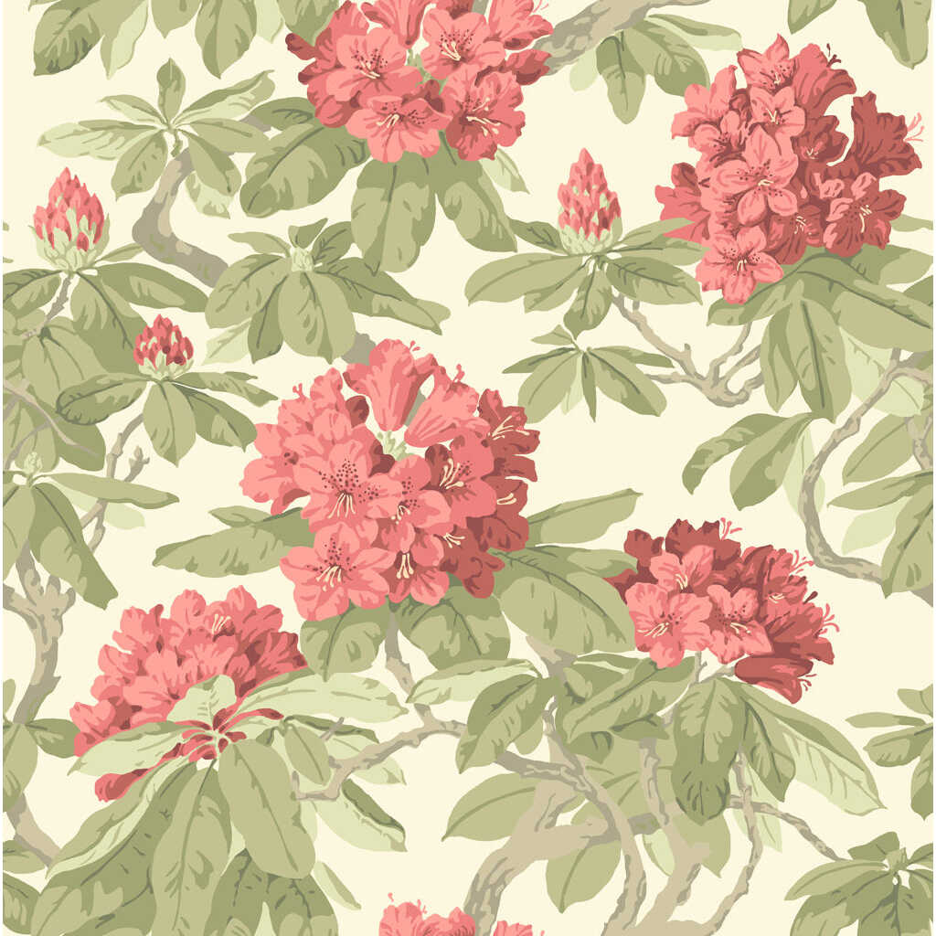 Bourlie - Coral