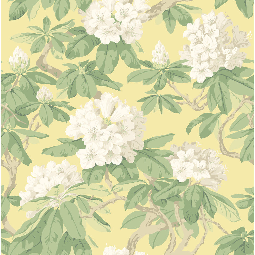 Bourlie - Pale Lemon - Cole & Son Wallpaper