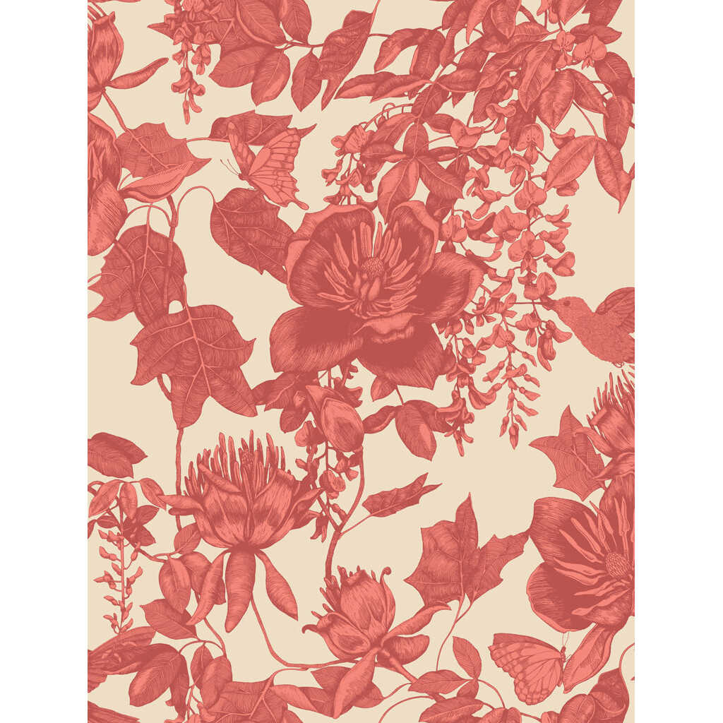 Tivoli - Coral - COLE & SON Papel pintado