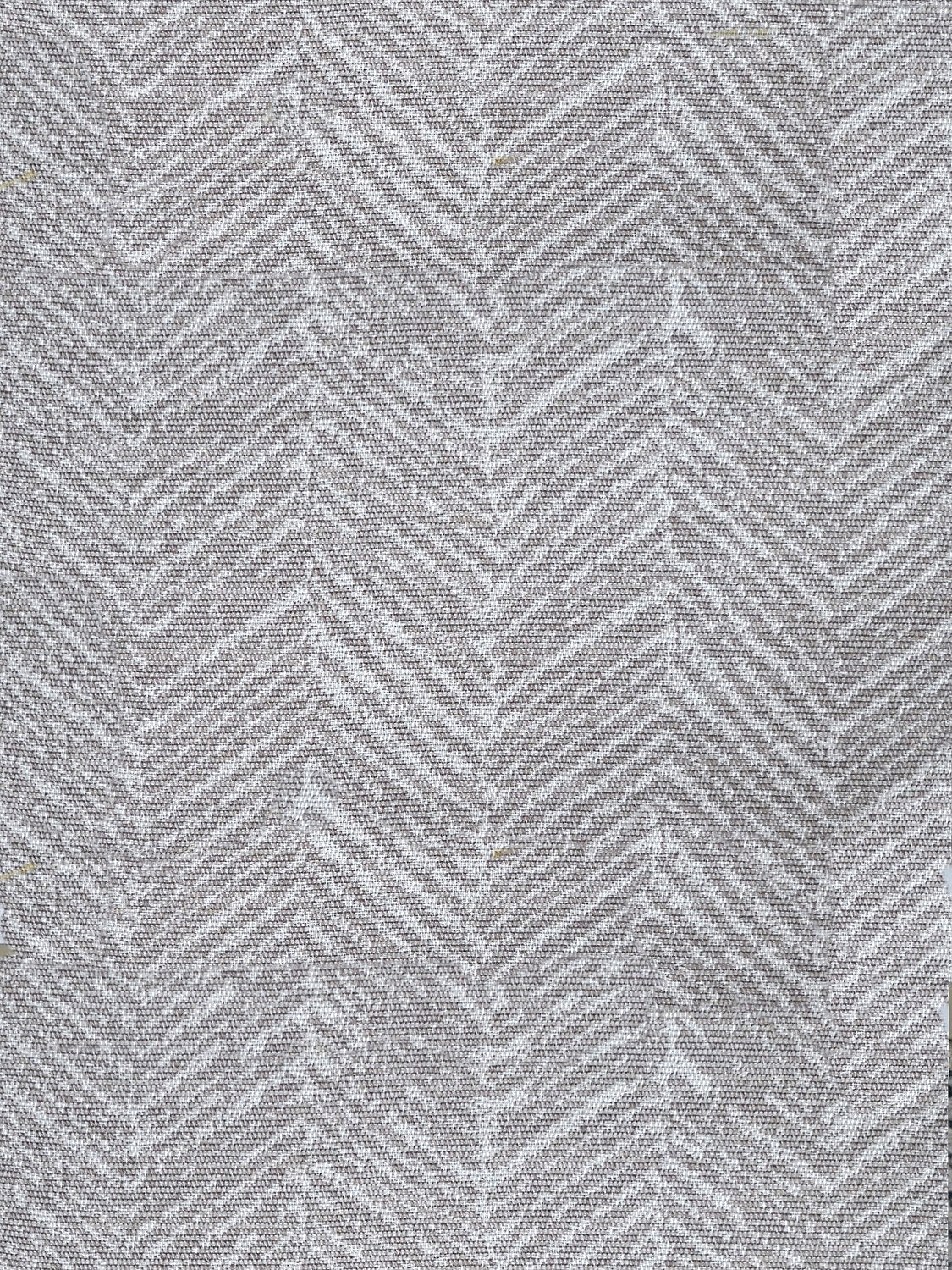 Lucie - Natural - Scalamandre Fabric