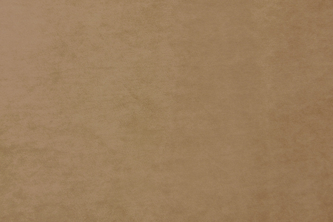 Project Water Repellent - Beige - Scalamandre Fabric