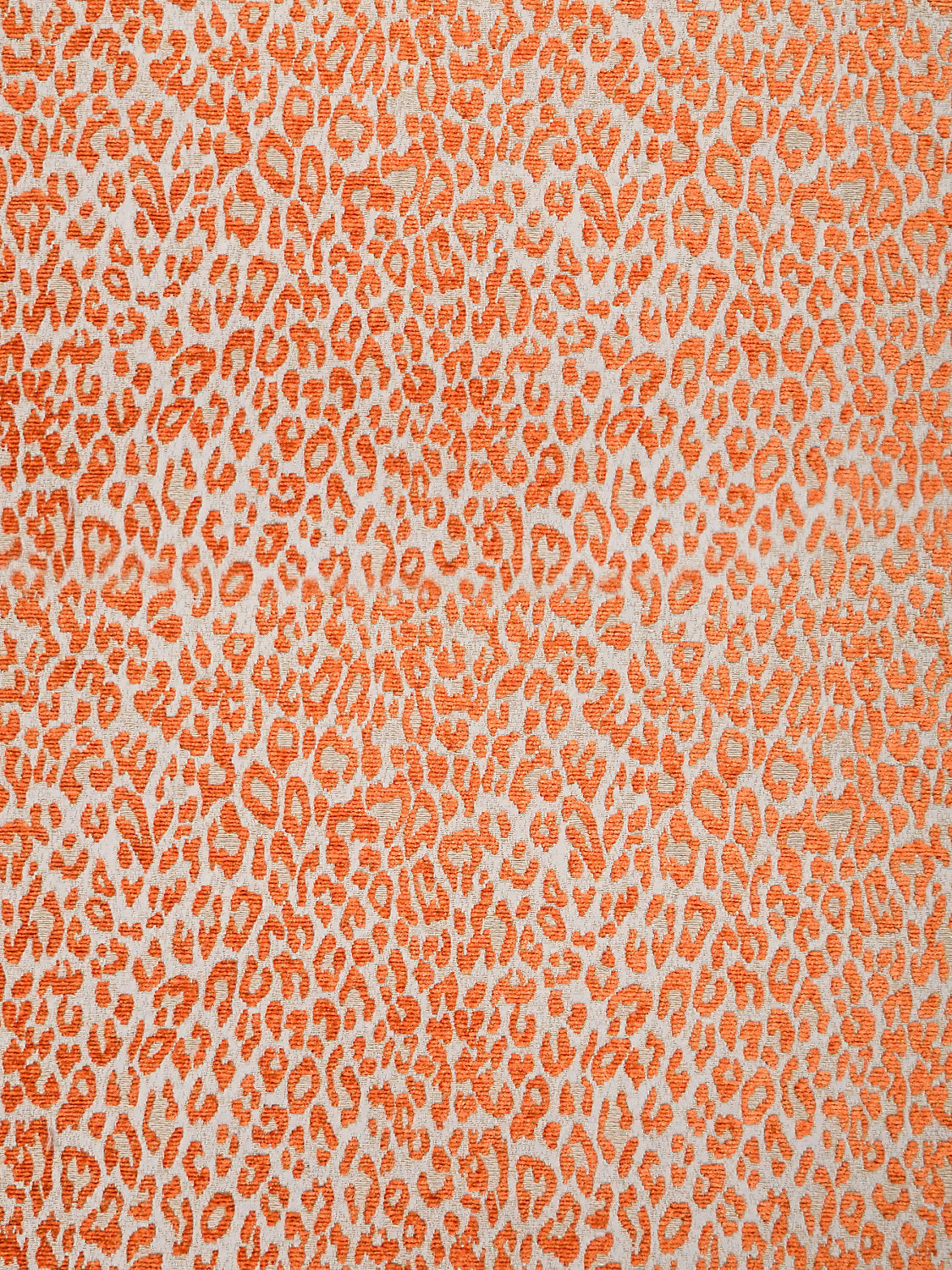 Leopard - Orange Koi