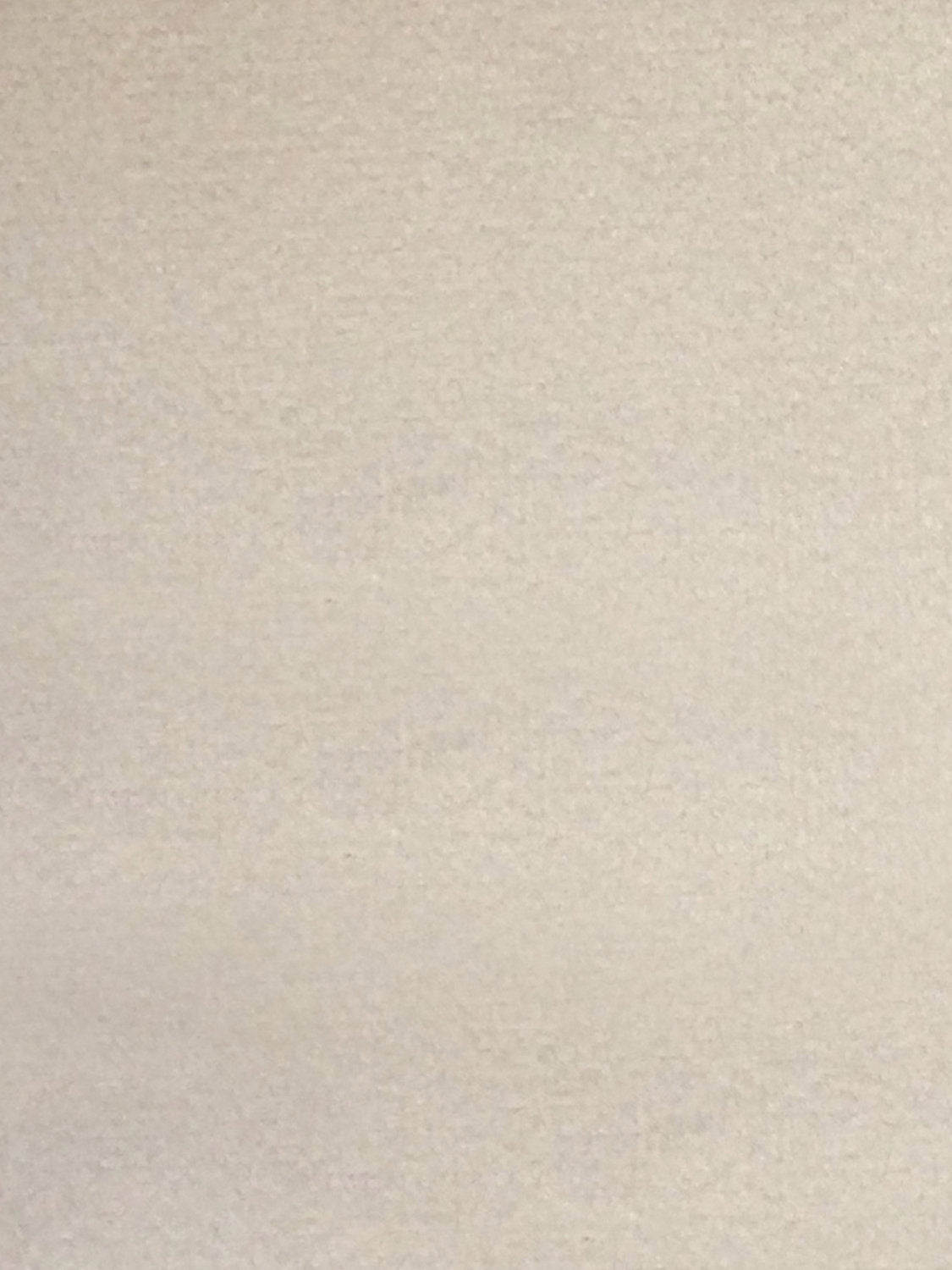 Sucesso | Wide Width Velvet - Cream