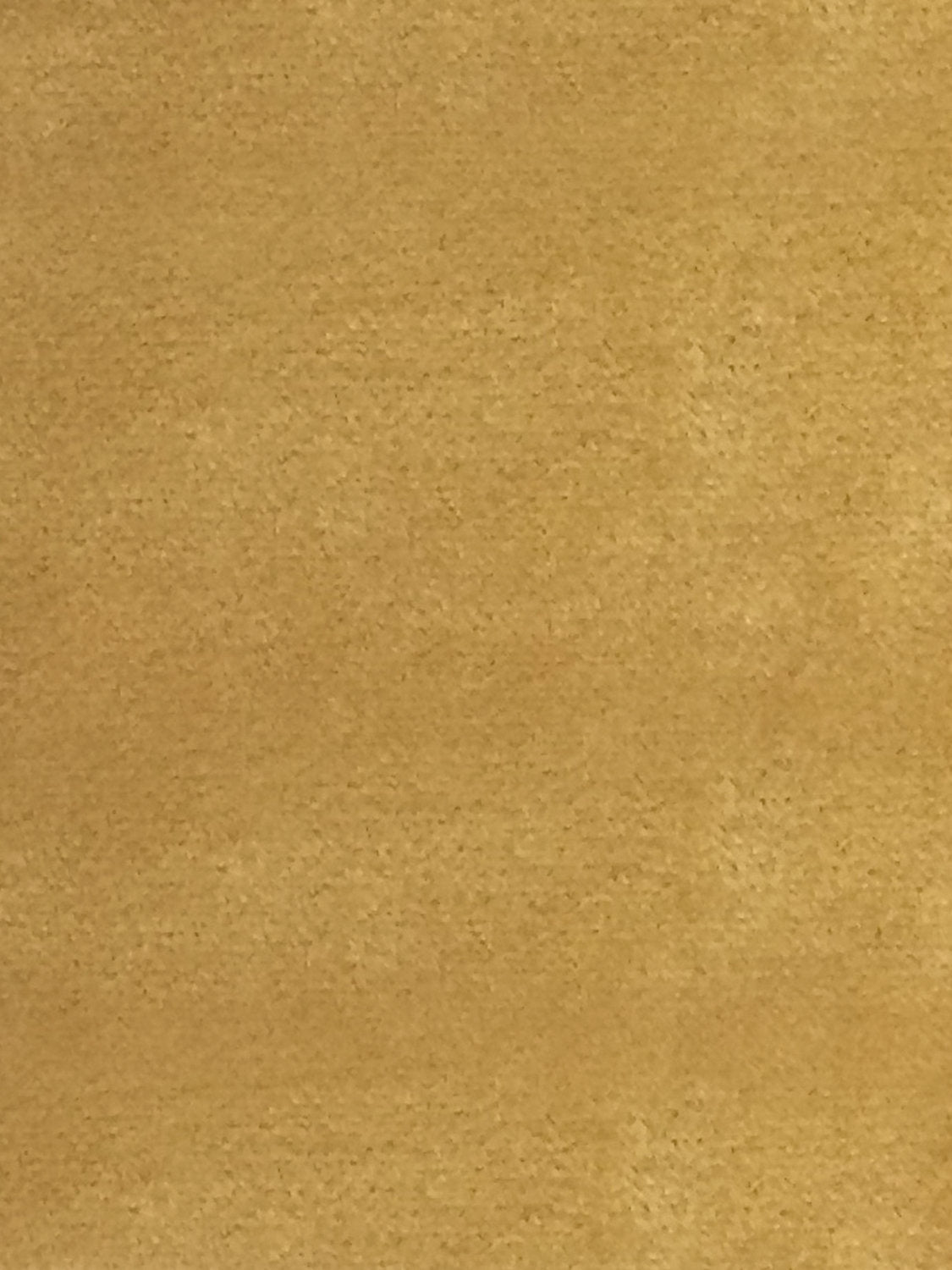Sucesso | Wide Width Velvet - Honey - Scalamandre Fabric
