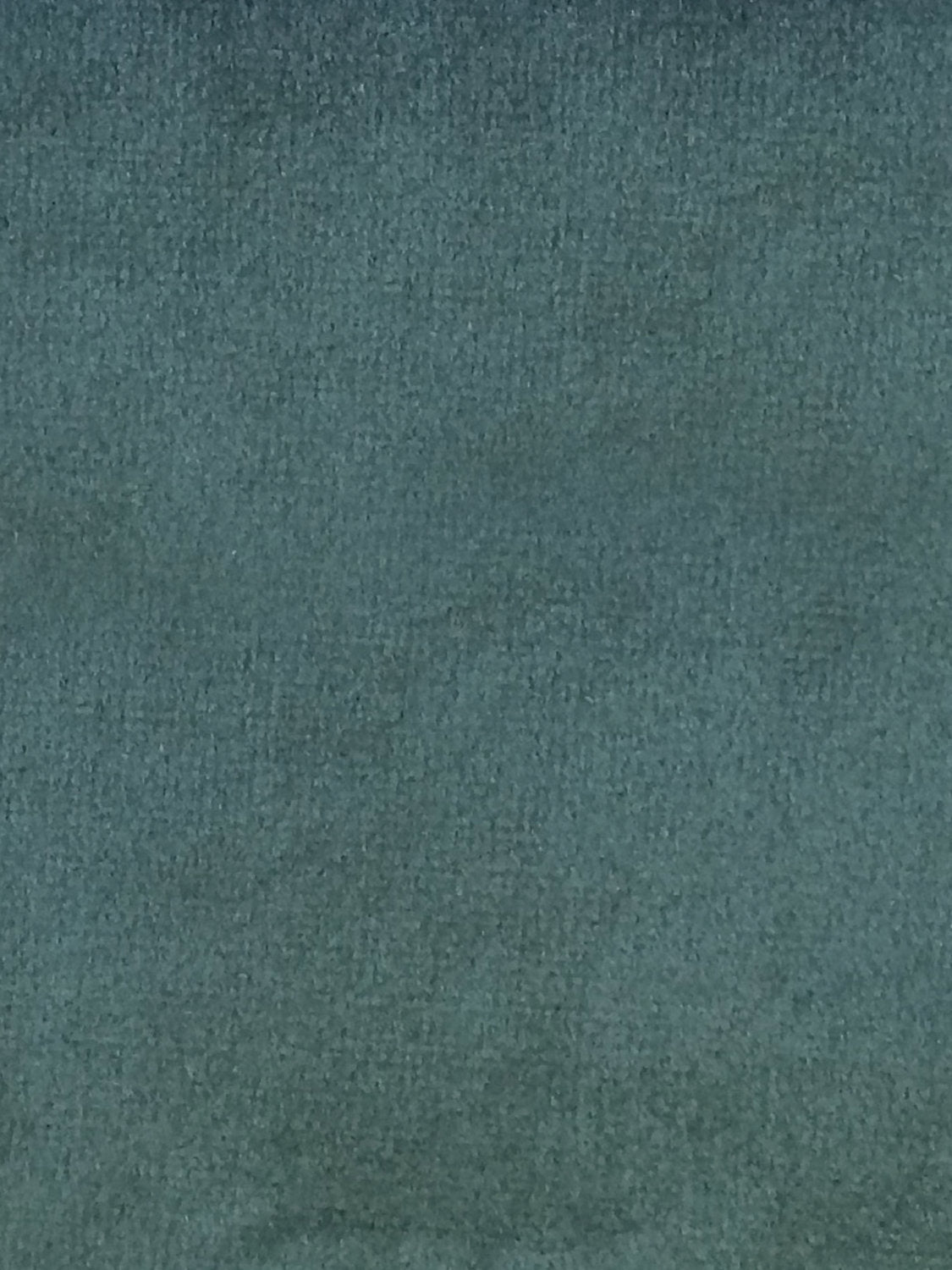 Sucesso | Wide Width Velvet - Black Forest