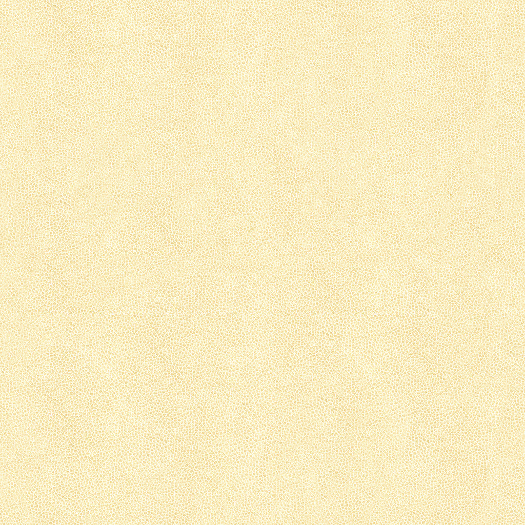 Abilene - Fossil - Kravet Contract Fabric