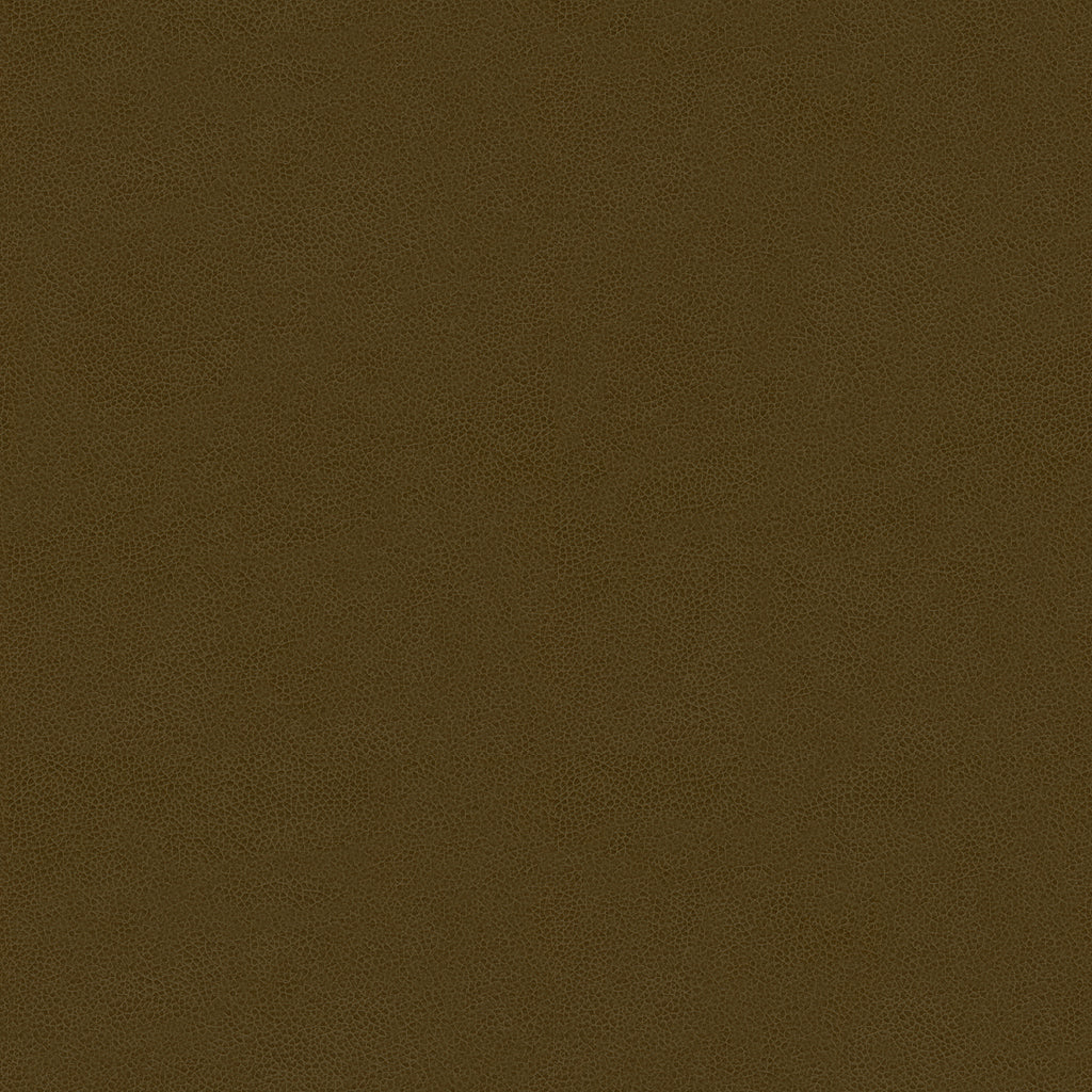 Abilene - Bark - Kravet Contract Fabric