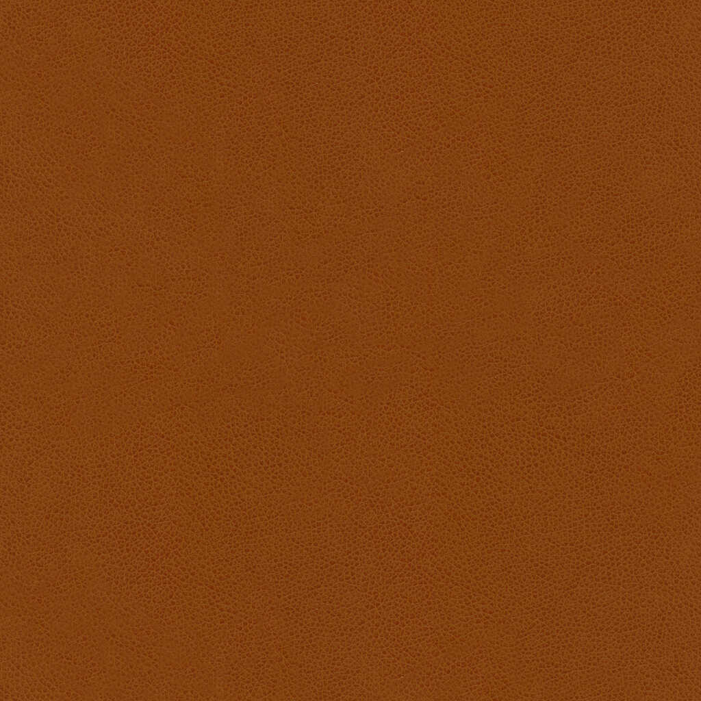 Abilene - Penny