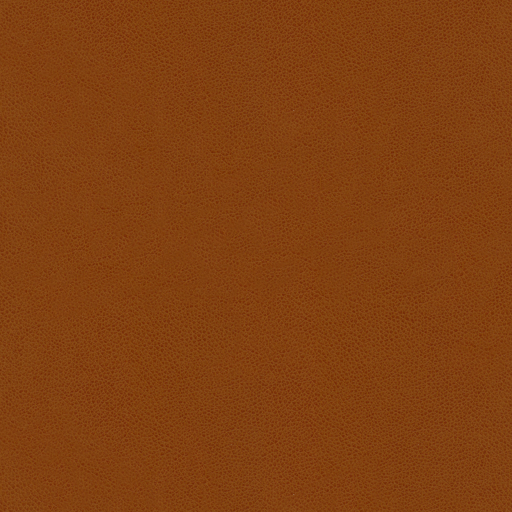 Abilene - Penny - Kravet Contract Fabric